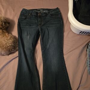 Maurices Dark Blue Boot Cut Jeans